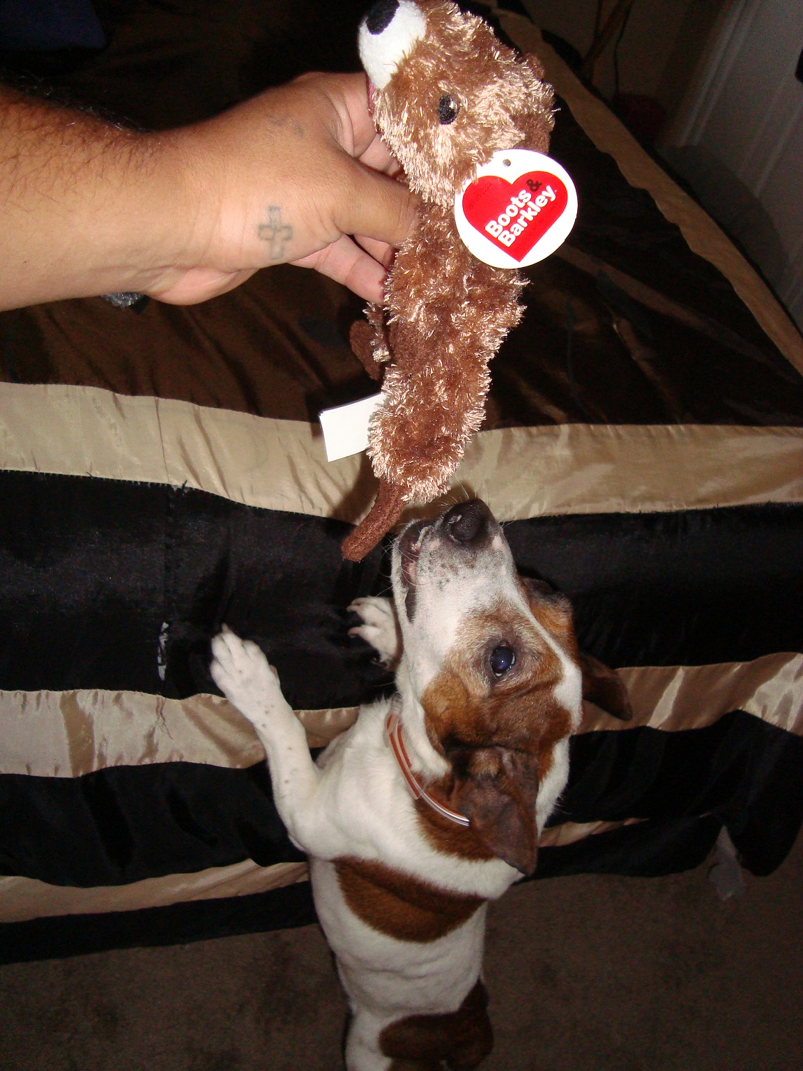 Cowboys_New_Toy_2