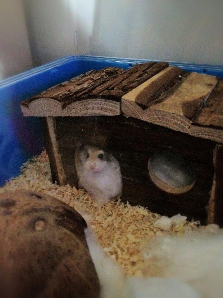 Hello??