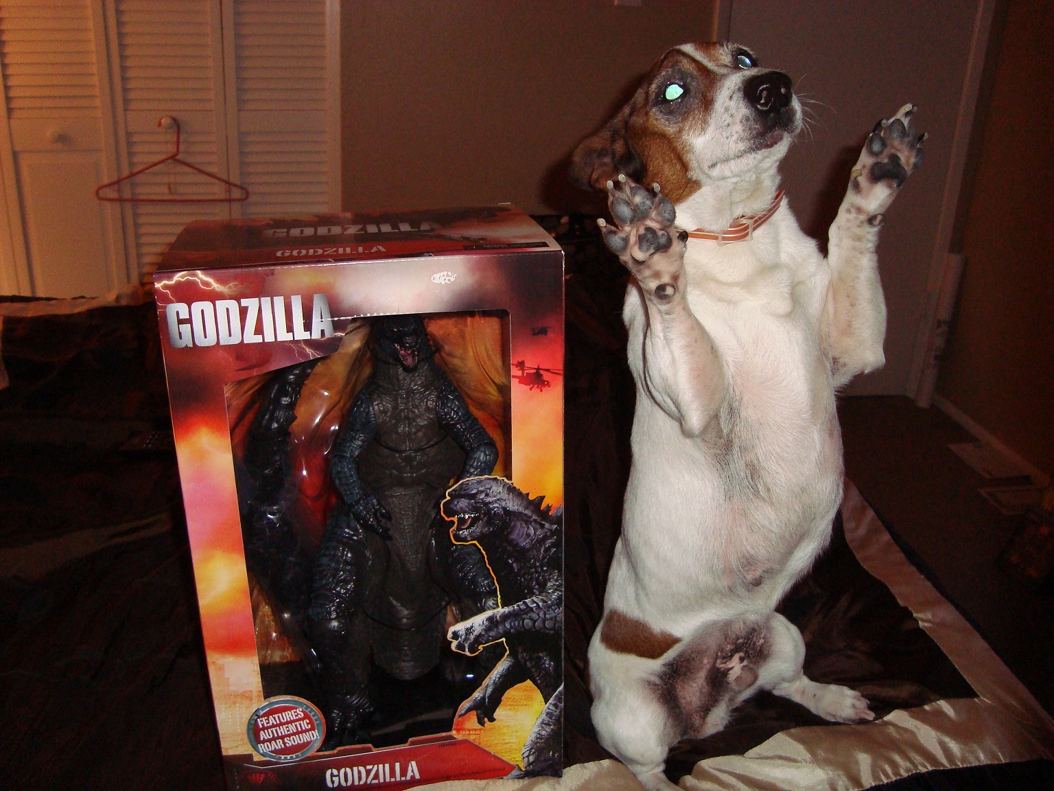 "I'm GOJIRA! RAWR!"