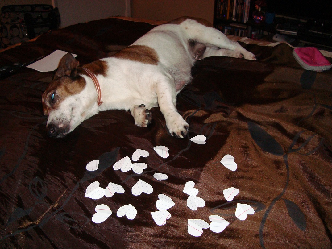 Lazy ASS Dog! :p