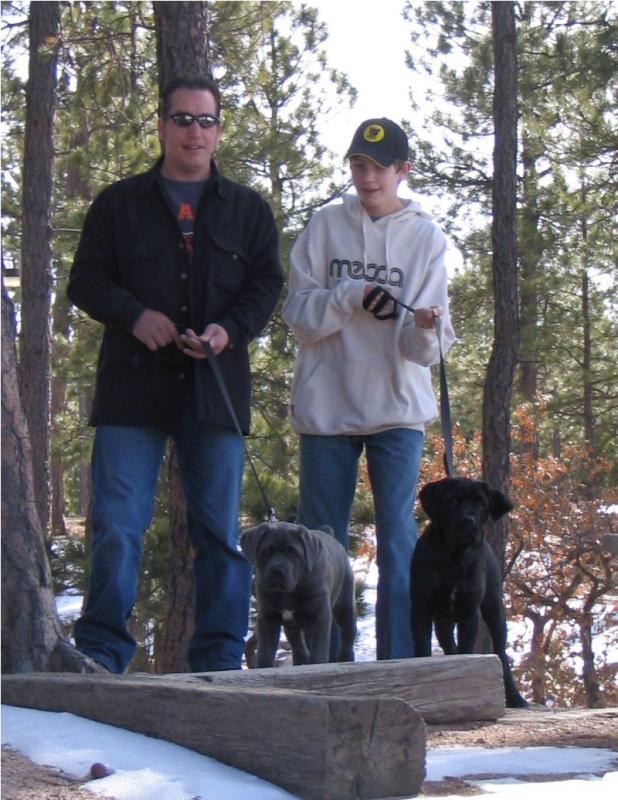 Me, Son, Severin, & Tornin (Breed is Cane Corso, 12 weeks old)