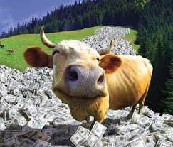 One Happy Cash Cow