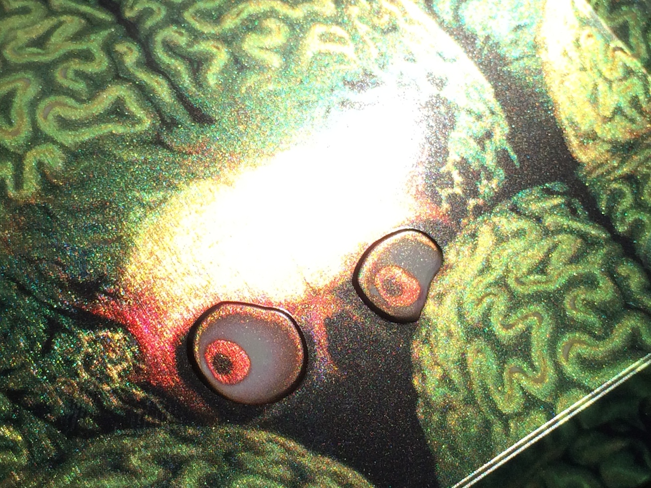 2oOgGUY.jpg
