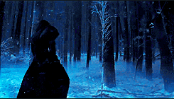 thrq4HmCjOO1q.gif