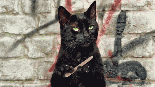 tumblr_m034w5S7rL1rqyinoo1_500.gif