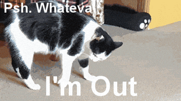 Cat Whatever GIF