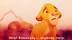 tumblr_m25vrjABkr1qm6oc3o3_250.gif