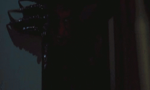 giphy.gif