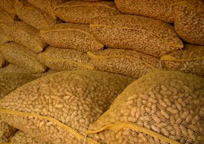 recipe-for-boiling-50-pounds-of-peanuts-21705639.jpg