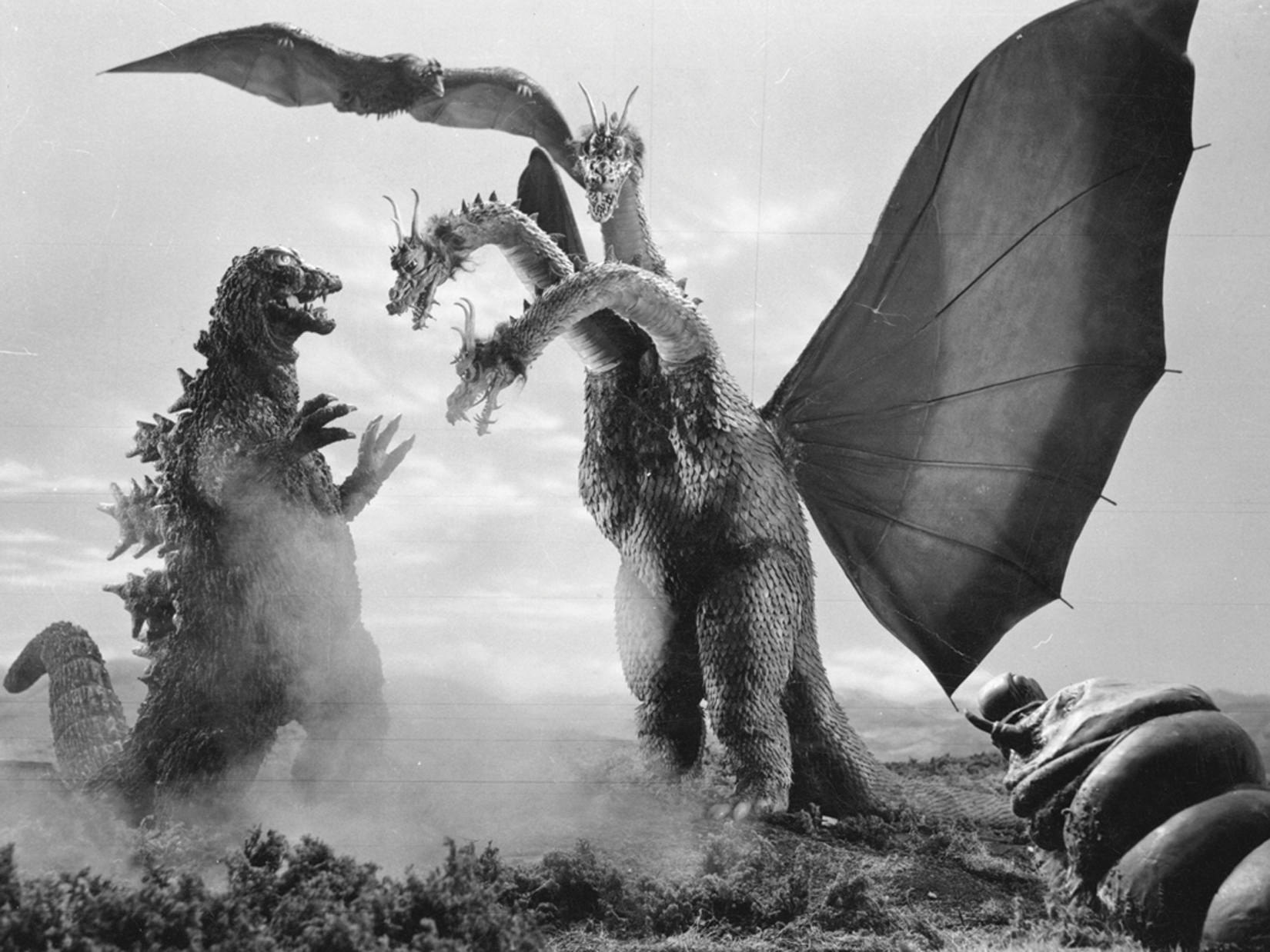 Godzilla-battles-Mothra-b-movie-basement-32042280-1650-1238.jpg
