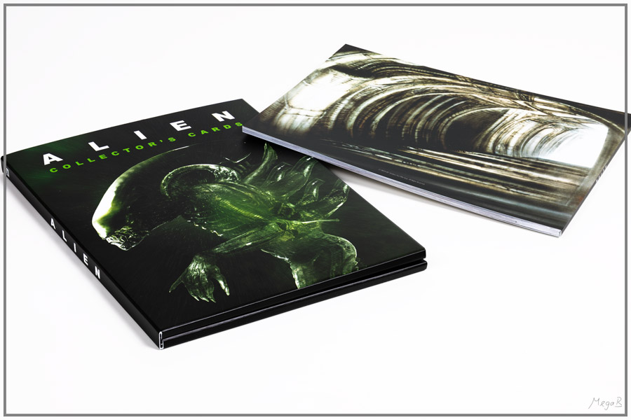 alien11.jpg