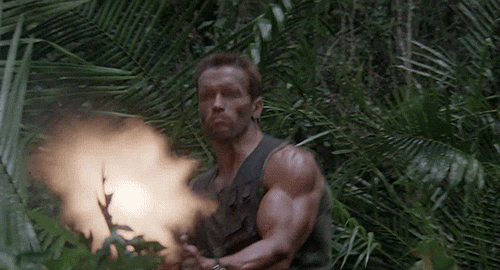 90071.gif