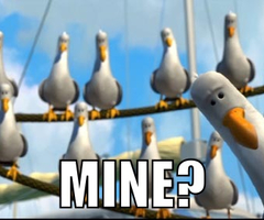 finding-nemo-seagull-mine.jpg