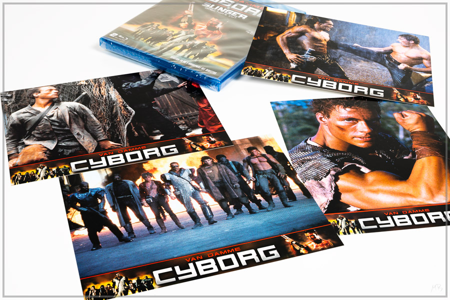 cybo4.jpg