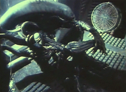 81f64db5d2612460f6bfa9937ee1b8f1.gif