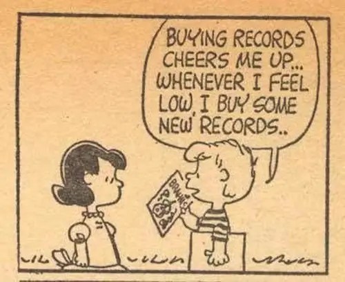 Peanuts-Vinyl-Shoping.jpg