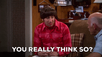 Do You Really Think So Season 5 GIF by The Big Bang Theory
