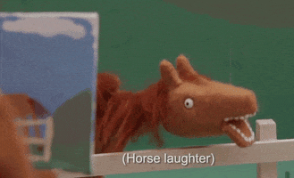 horse laughing GIF