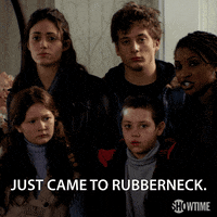season 1 just came to rubberneck GIF by Shameless