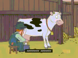 milk cow GIF