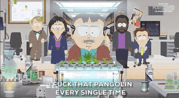 Every Time Randy Marsh GIF by South Park