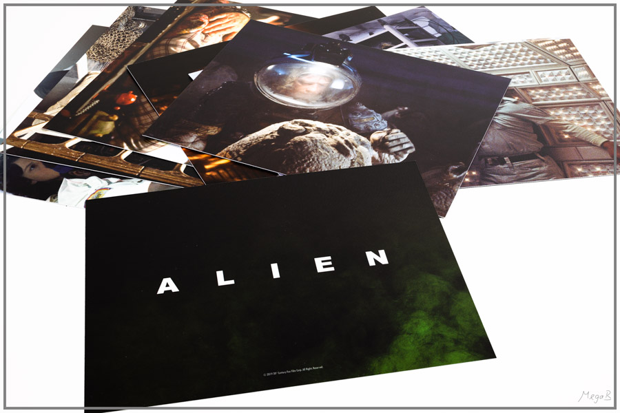 alien12.jpg