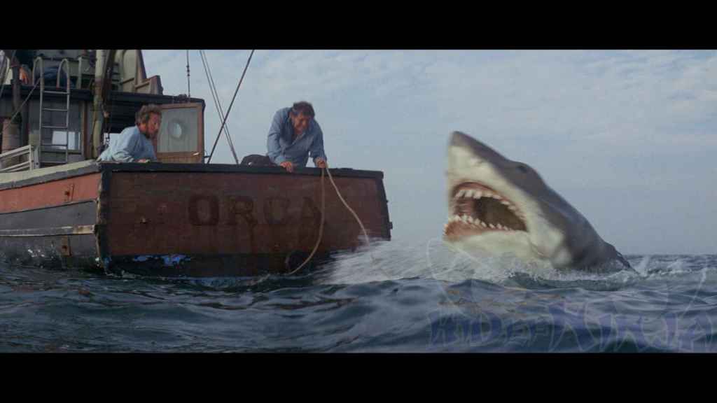 Jaws Blu-ray Review | Hi-Def Ninja - Blu-ray SteelBooks ...