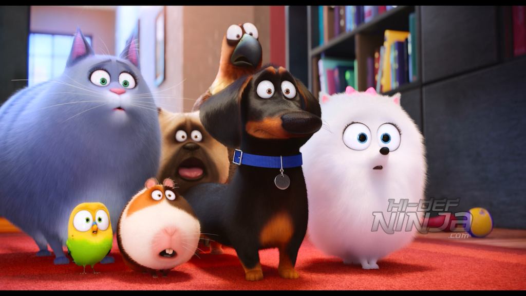 secret-life-of-pets-bluray-review-2016-15 | Hi-Def Ninja - Blu-ray ...